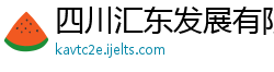 四川汇东发展有限公司